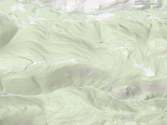 USGS topographic map of USFS dispersed camp — MT #245