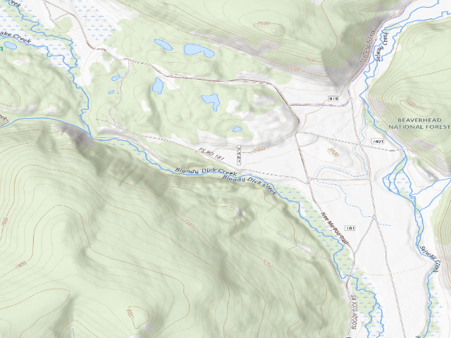 USGS topographic map of USFS dispersed camp — MT #247