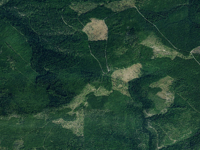 Aerial image of USFS dispersed camp — MT #256