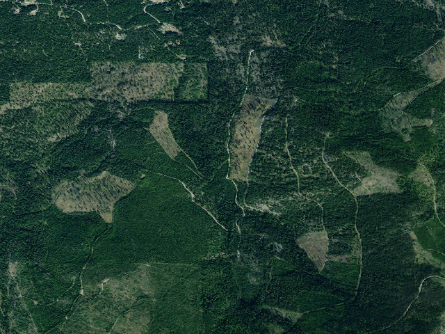 Aerial image of USFS dispersed camp — MT #259