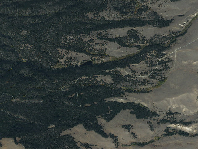 Aerial image of USFS dispersed camp — MT #295