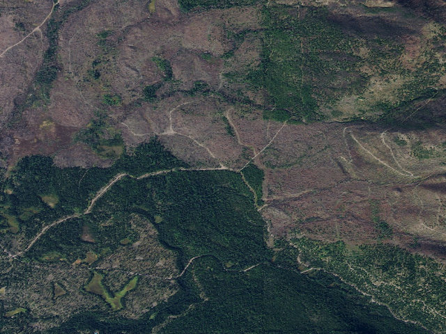 Aerial image of USFS dispersed camp — MT #299