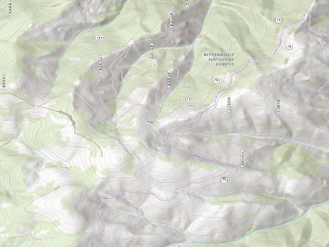 USGS topographic map of USFS dispersed camp — MT #303