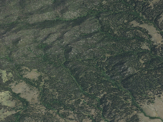 Aerial image of USFS dispersed camp — MT #31