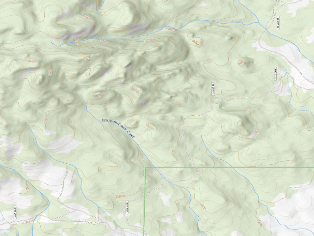 USGS topographic map of USFS dispersed camp — MT #31