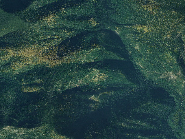 Aerial image of USFS dispersed camp — MT #319
