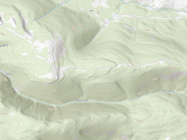 USGS topographic map of USFS dispersed camp — MT #333