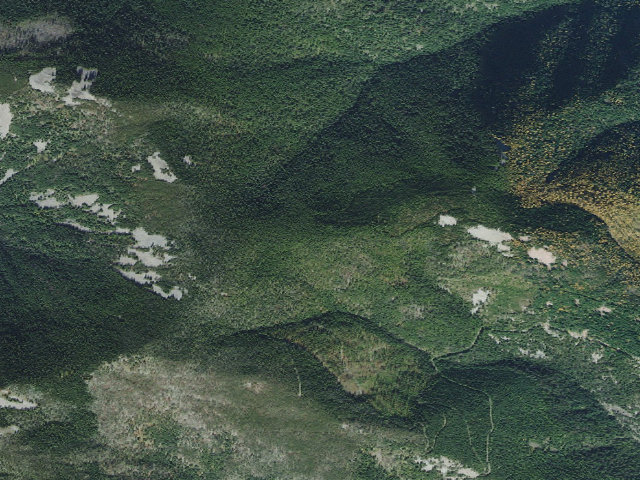 Aerial image of USFS dispersed camp — MT #355