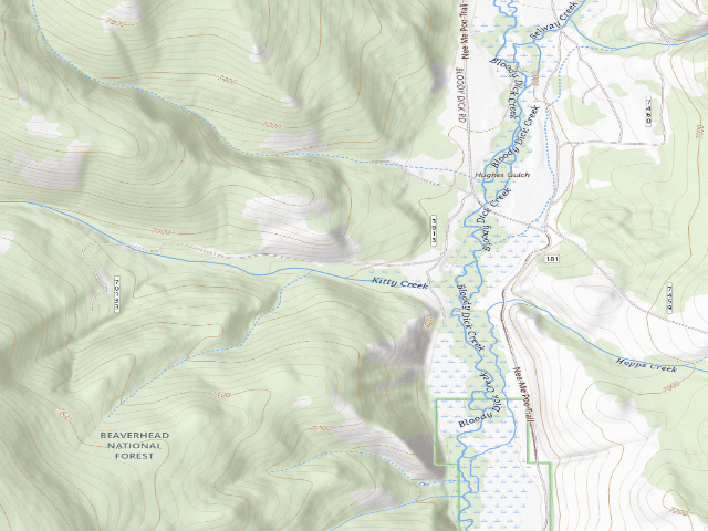 USGS topographic map of USFS dispersed camp — MT #387