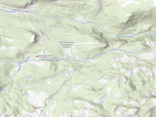 USGS topographic map of USFS dispersed camp — MT #391