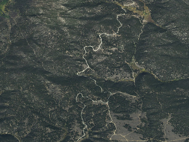 Aerial image of USFS dispersed camp — MT #393