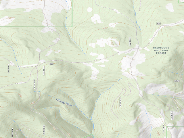 USGS topographic map of USFS dispersed camp — MT #403