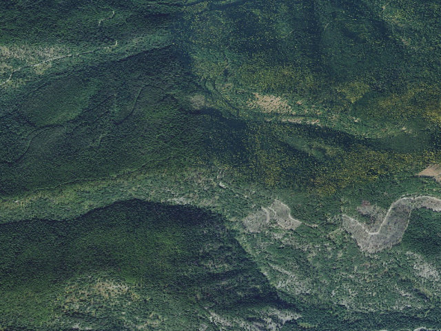 Aerial image of USFS dispersed camp — MT #424