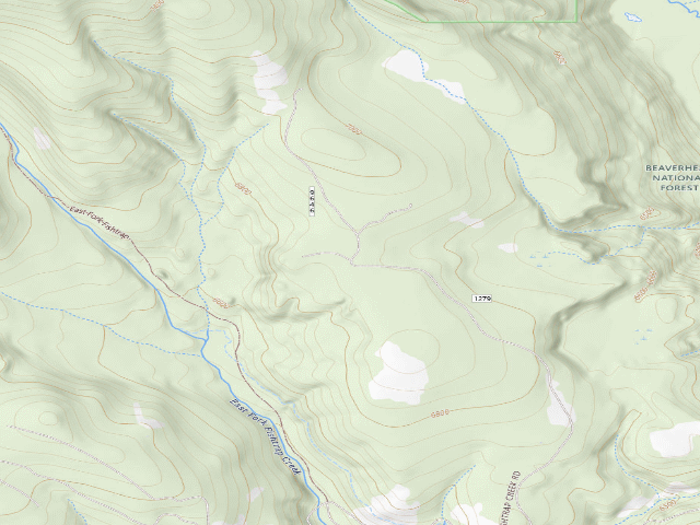USGS topographic map of USFS dispersed camp — MT #454