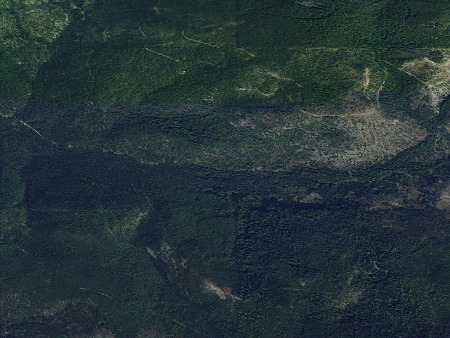 Aerial image of USFS dispersed camp — MT #500