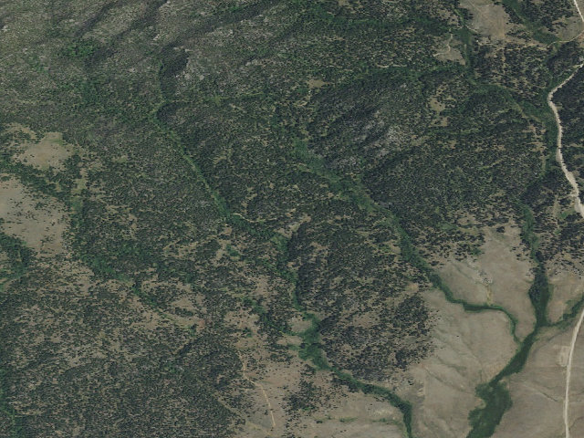 Aerial image of USFS dispersed camp — MT #52