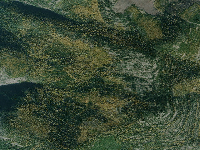 Aerial image of USFS dispersed camp — MT #593