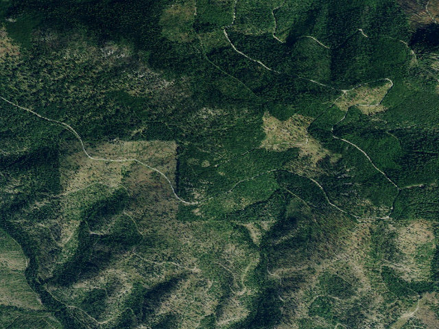 Aerial image of USFS dispersed camp — MT #598