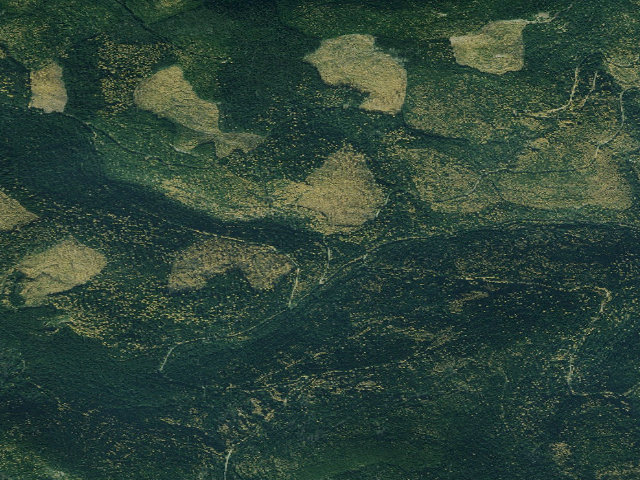 Aerial image of USFS dispersed camp — MT #599