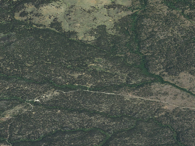Aerial image of USFS dispersed camp — MT #60