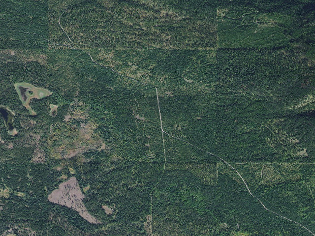 Aerial image of USFS dispersed camp — MT #630