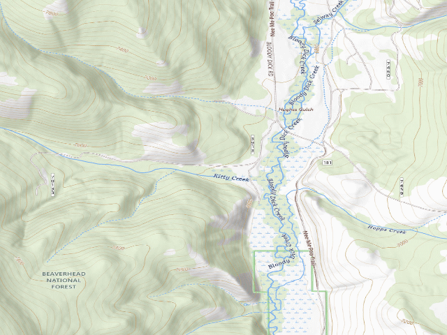 USGS topographic map of USFS dispersed camp — MT #672