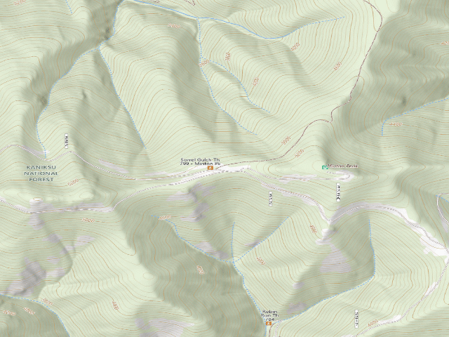 USGS topographic map of USFS dispersed camp — MT #731