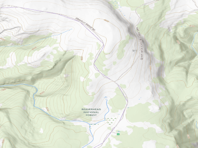 USGS topographic map of USFS dispersed camp — MT #763