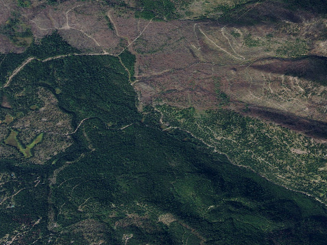 Aerial image of USFS dispersed camp — MT #770