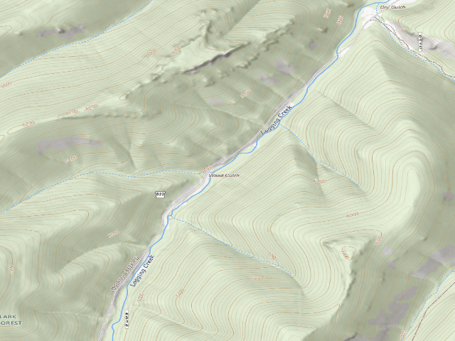 USGS topographic map of USFS dispersed camp — MT #774