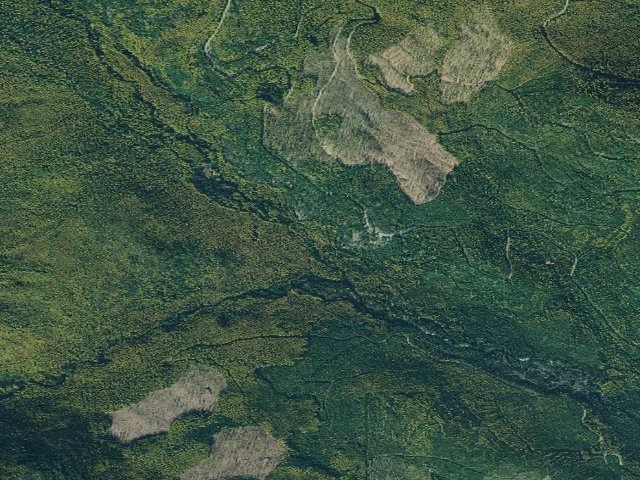 Aerial image of USFS dispersed camp — MT #783