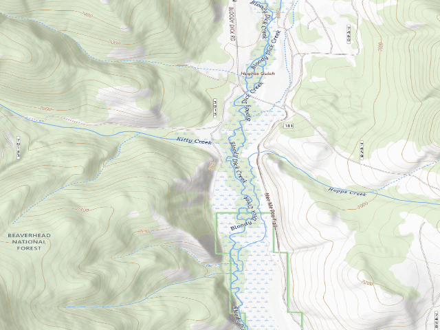 USGS topographic map of USFS dispersed camp — MT #784