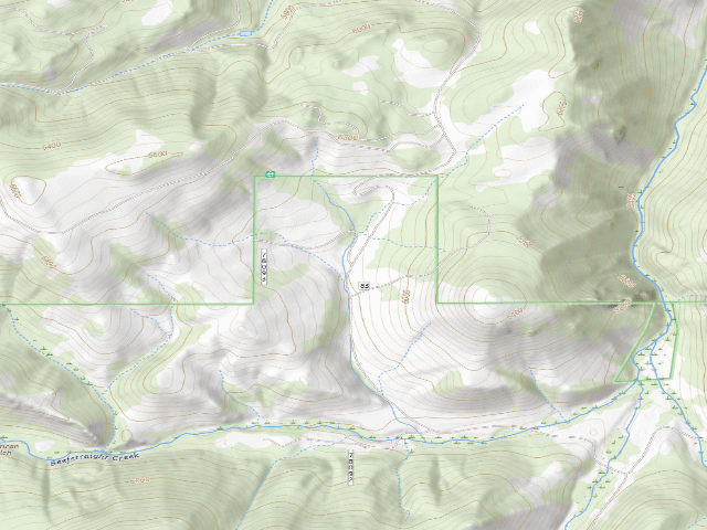 USGS topographic map of USFS dispersed camp — MT #799