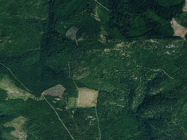 Aerial image of USFS dispersed camp — MT #80