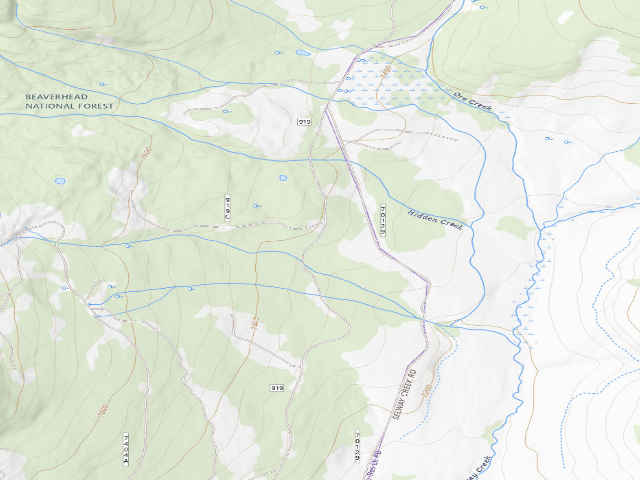 USGS topographic map of USFS dispersed camp — MT #806