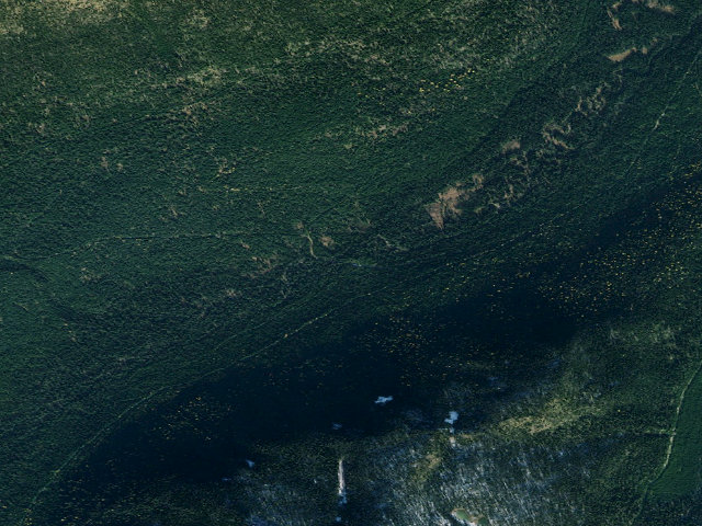Aerial image of USFS dispersed camp — MT #81