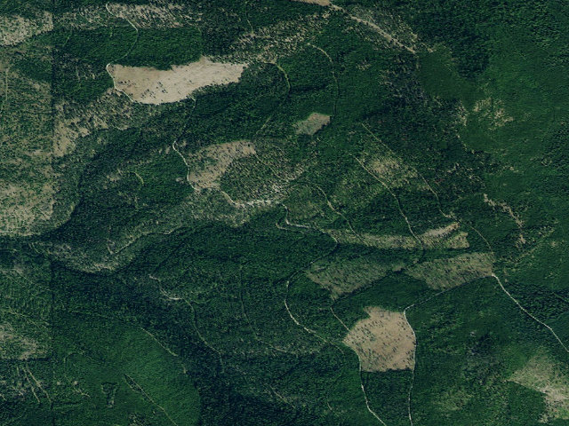Aerial image of USFS dispersed camp — MT #821