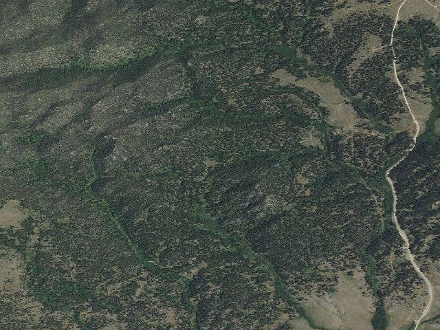 Aerial image of USFS dispersed camp — MT #825