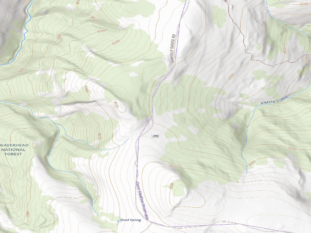 USGS topographic map of USFS dispersed camp — MT #829