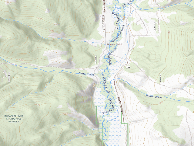 USGS topographic map of USFS dispersed camp — MT #848