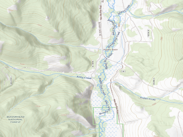 USGS topographic map of USFS dispersed camp — MT #867