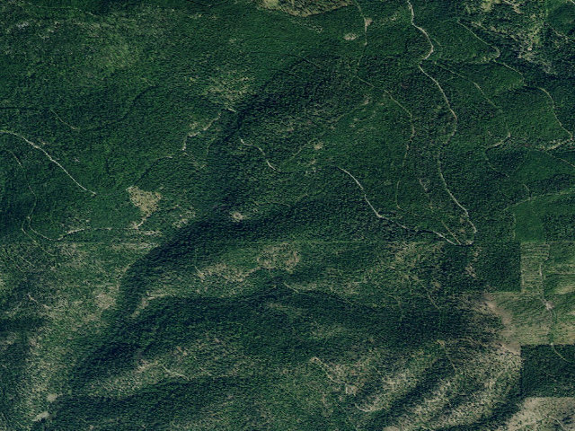 Aerial image of USFS dispersed camp — MT #95