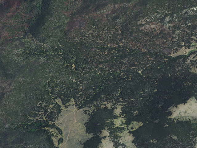 Aerial image of USFS dispersed camp — MT #98