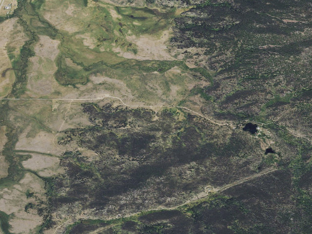 Aerial image of USFS dispersed camp — MT #99