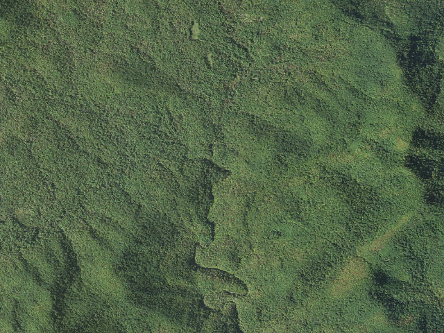 Aerial image of USFS dispersed camp — NC #4