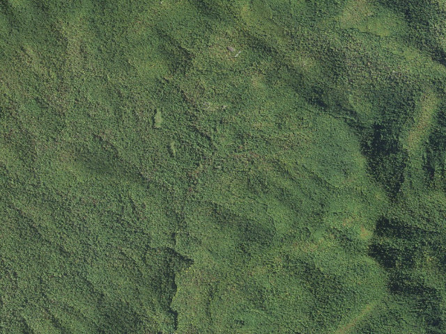 Aerial image of USFS dispersed camp — NC