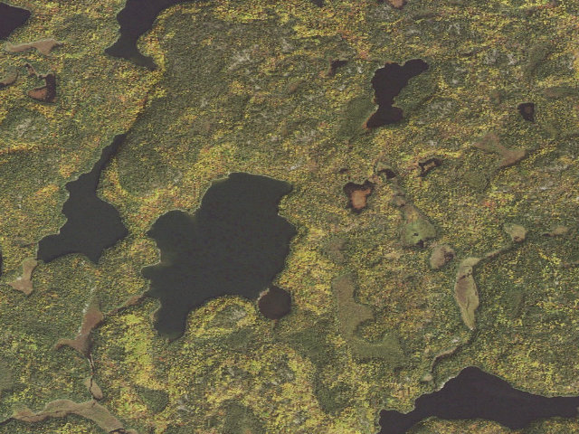 Aerial image of USFS dispersed camp — St. Louis County, MN