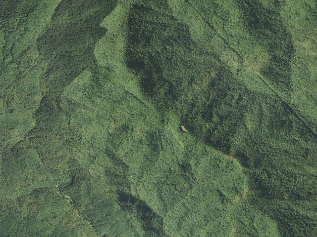 Aerial image of USFS dispersed camp — Transylvania County, NC