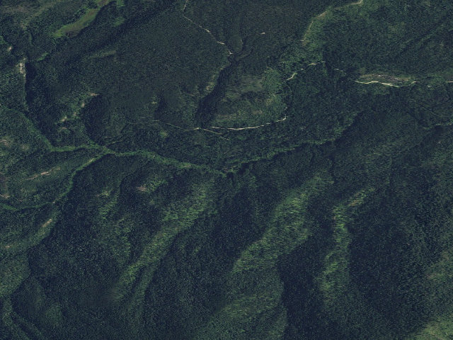 Aerial image of USFS dispersed camp — WA #10