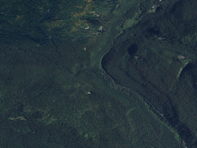 Aerial image of USFS dispersed camp — WA #11